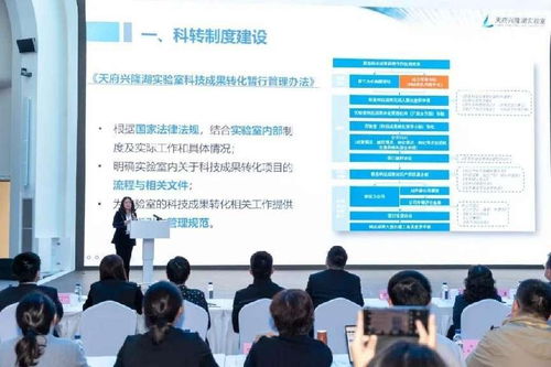 推動(dòng)更多科技成果就地轉(zhuǎn)化 信息技術(shù)咨詢服務(wù)助力國(guó)家隊(duì)實(shí)驗(yàn)室與大裝置融合發(fā)展